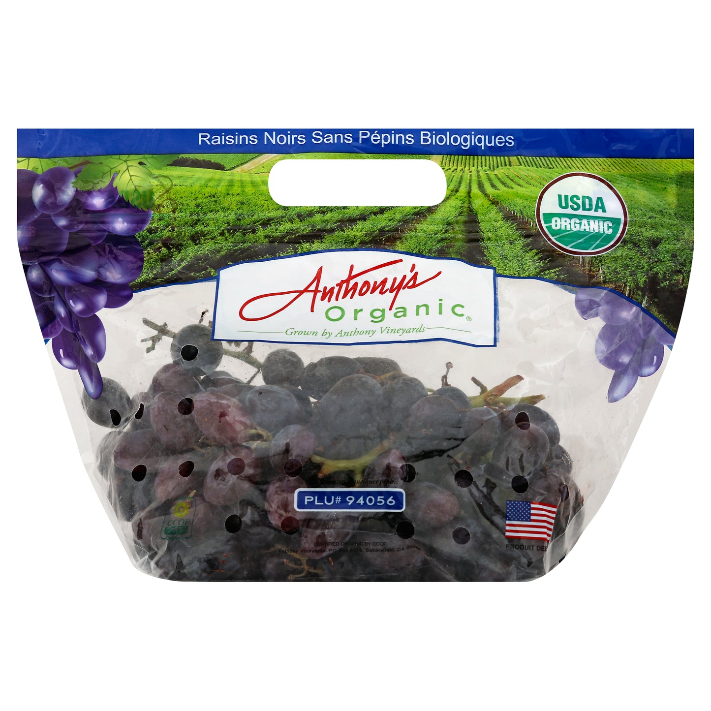 Blue/Black Seedless Grapes