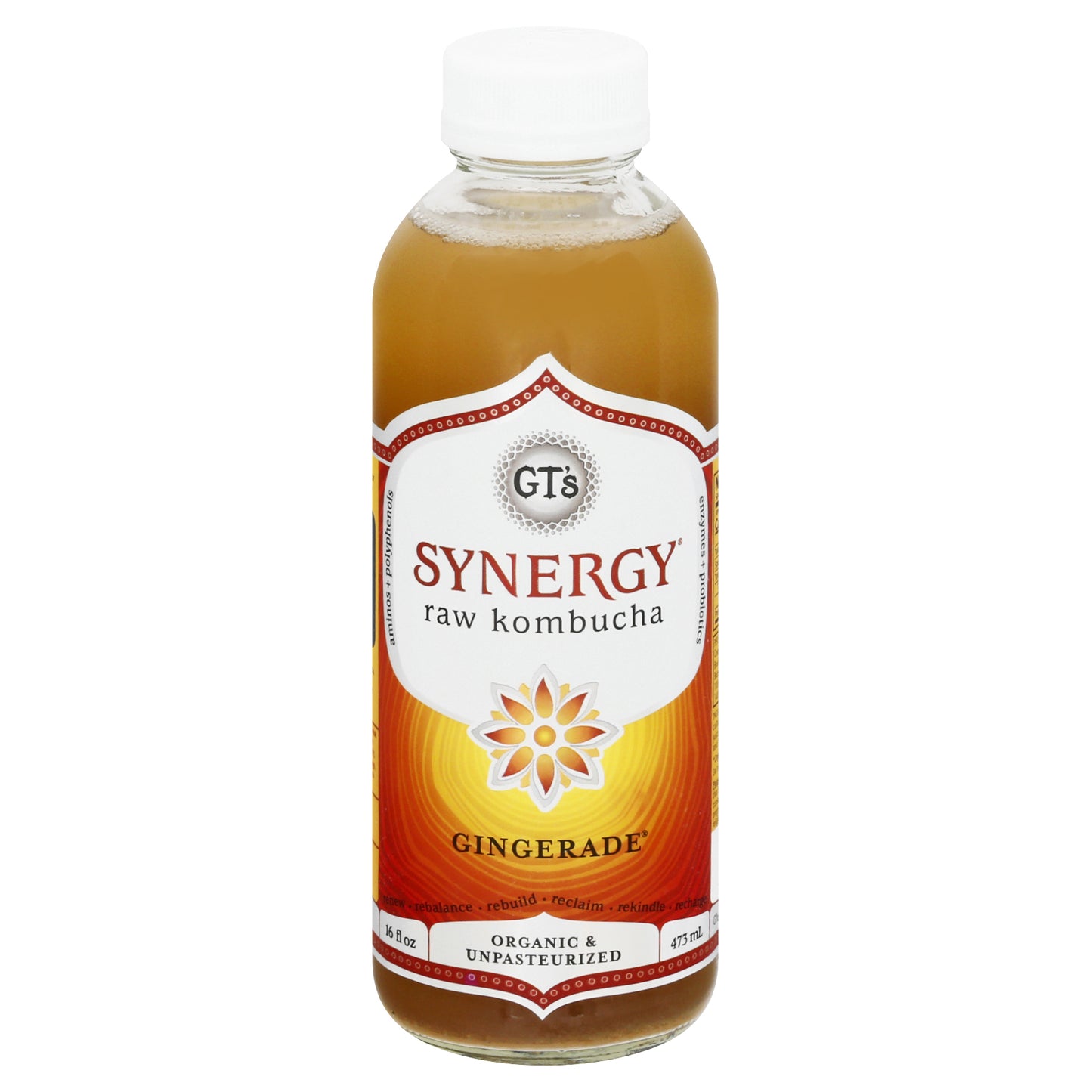 GT's Synergy Raw Gingerade Kombucha 16 fl oz
