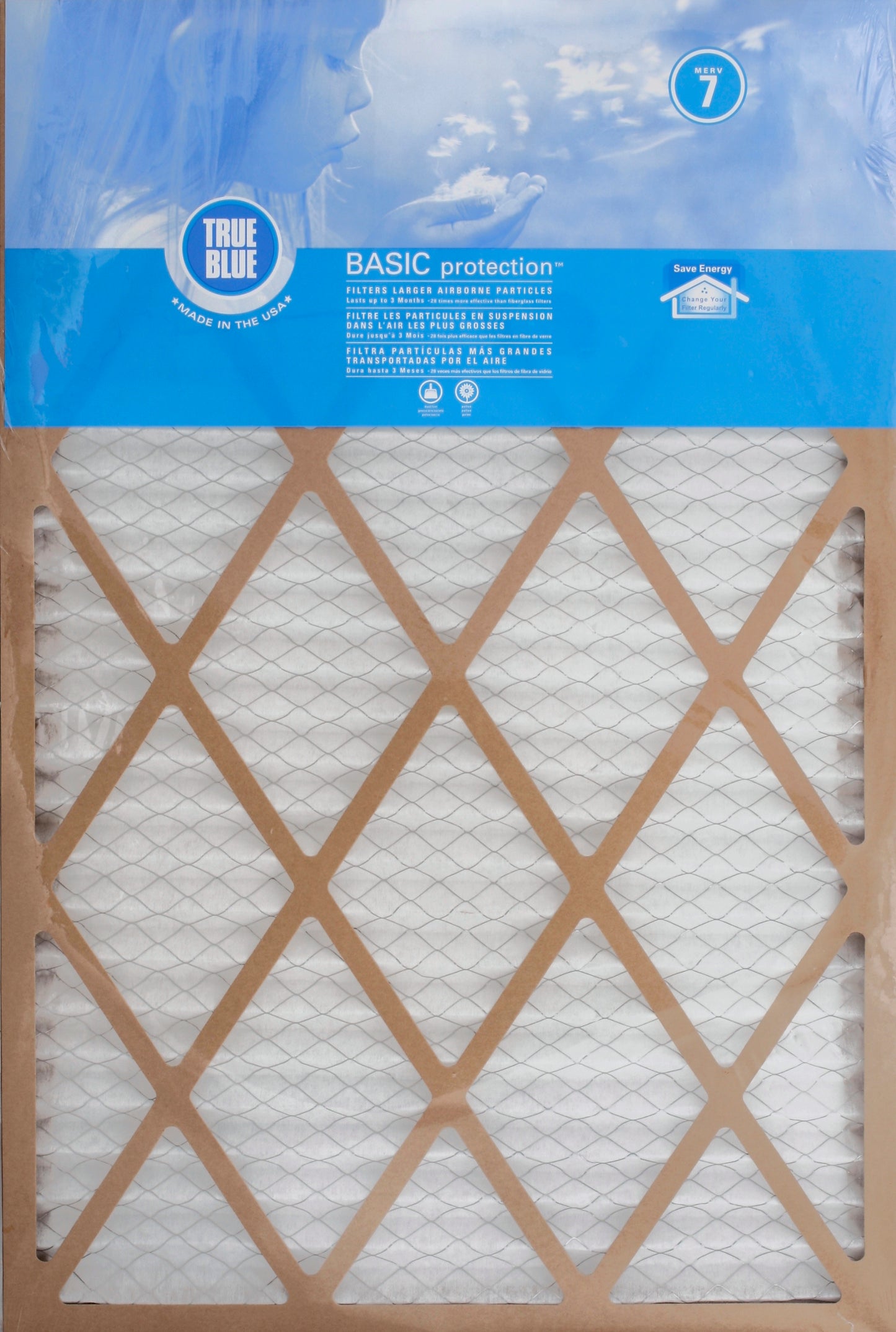 TrueBlue TRUE BLUE BASIC FILTER 20X30X1 1 CT