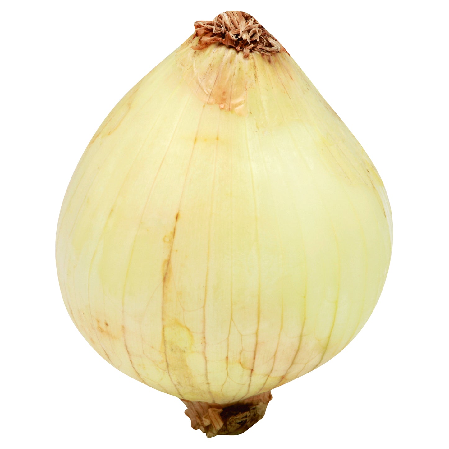 Yellow/Brown Onion - Small
