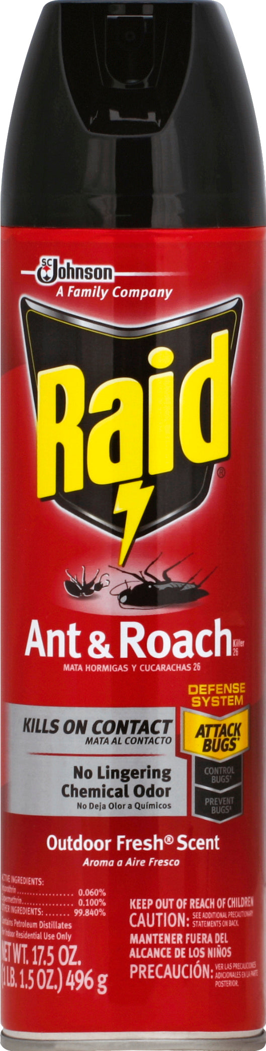 Raid Ant & Roach Killer 17.5 oz