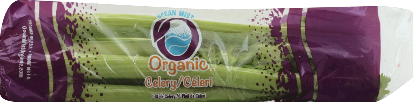 Celery Bunch - Large