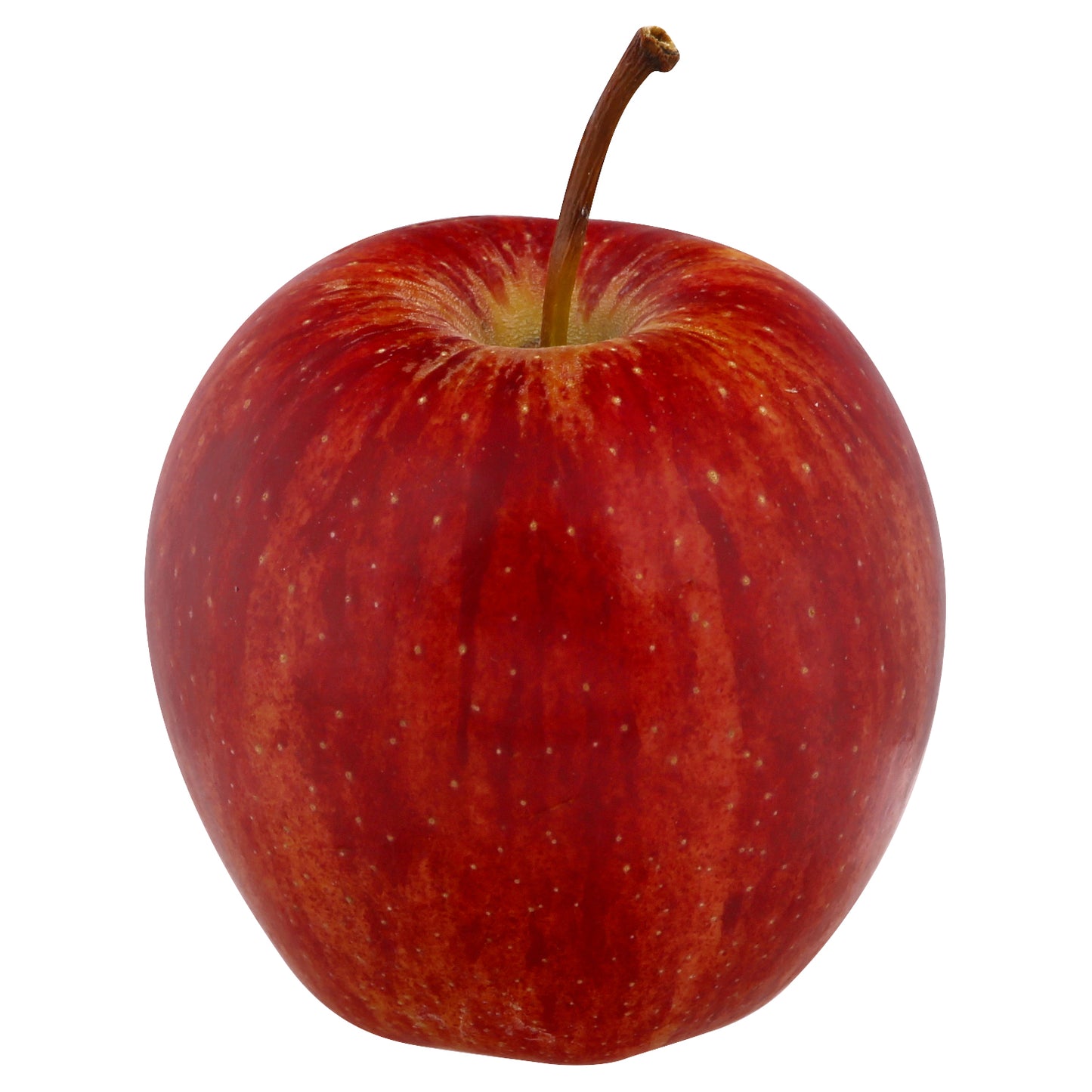 Gala Apple - 2LB