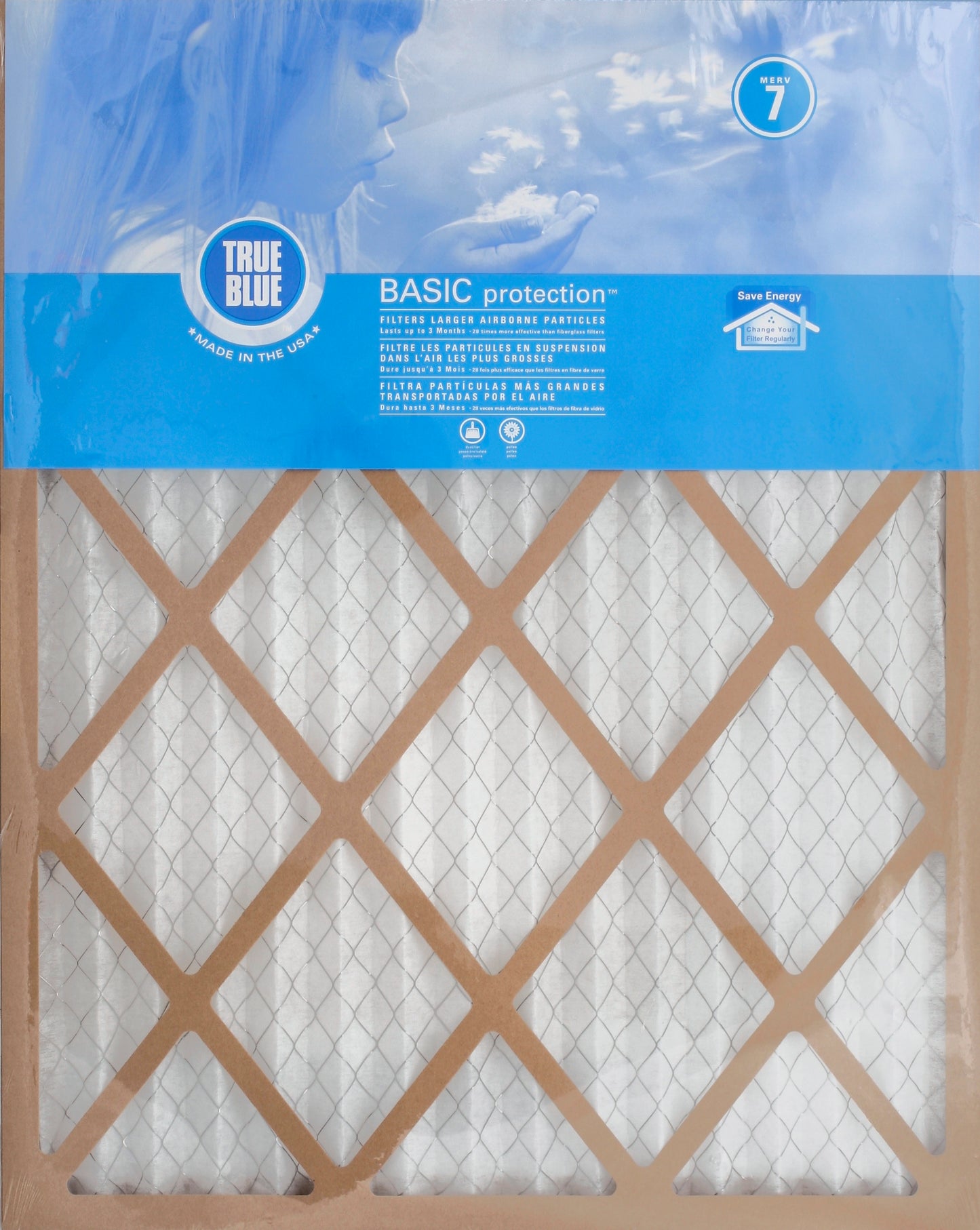 TrueBlue TRUE BLUE BASIC FILTER 20X25X1 1 CT