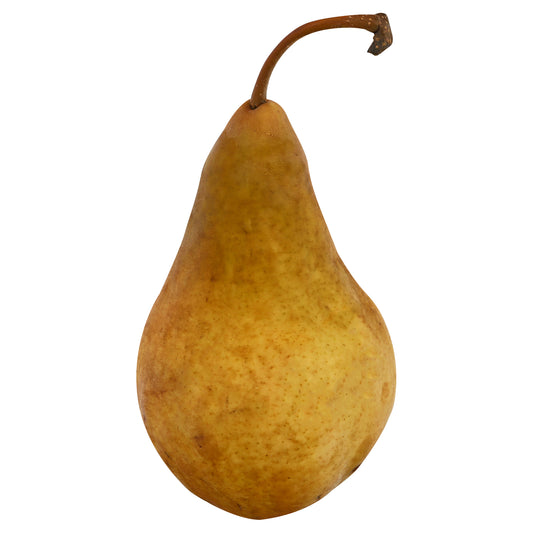Bosc Pear - Small