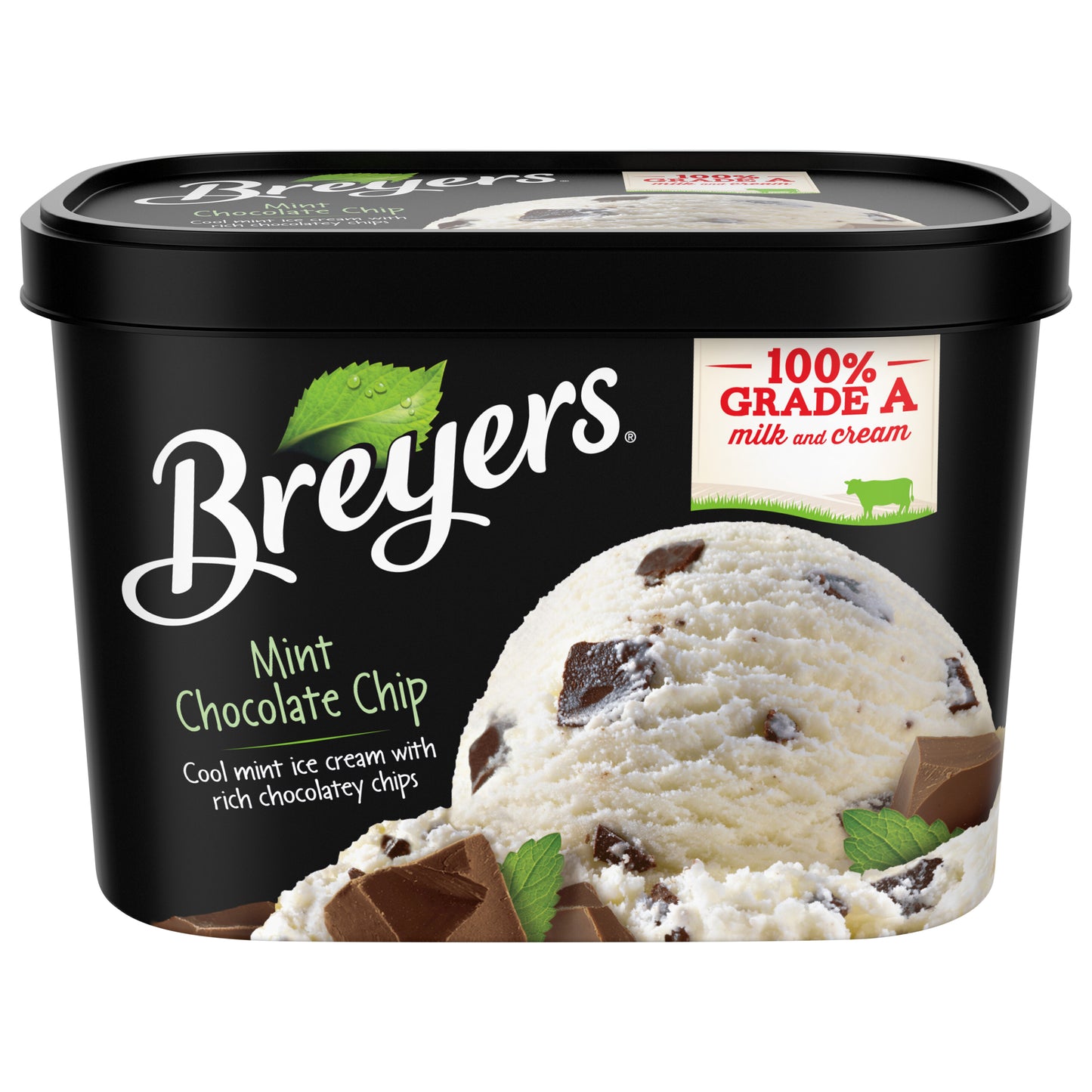 Breyers Mint Chocolate Chip Ice Cream