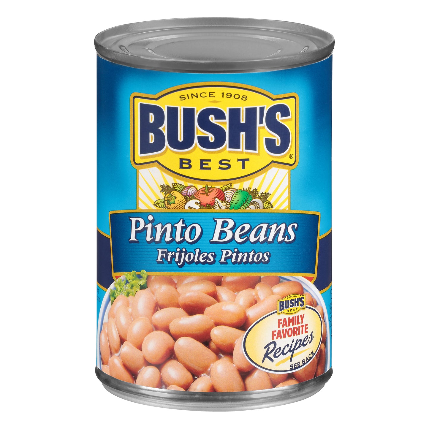 Bush's Best® Pinto Beans 16 oz. Can