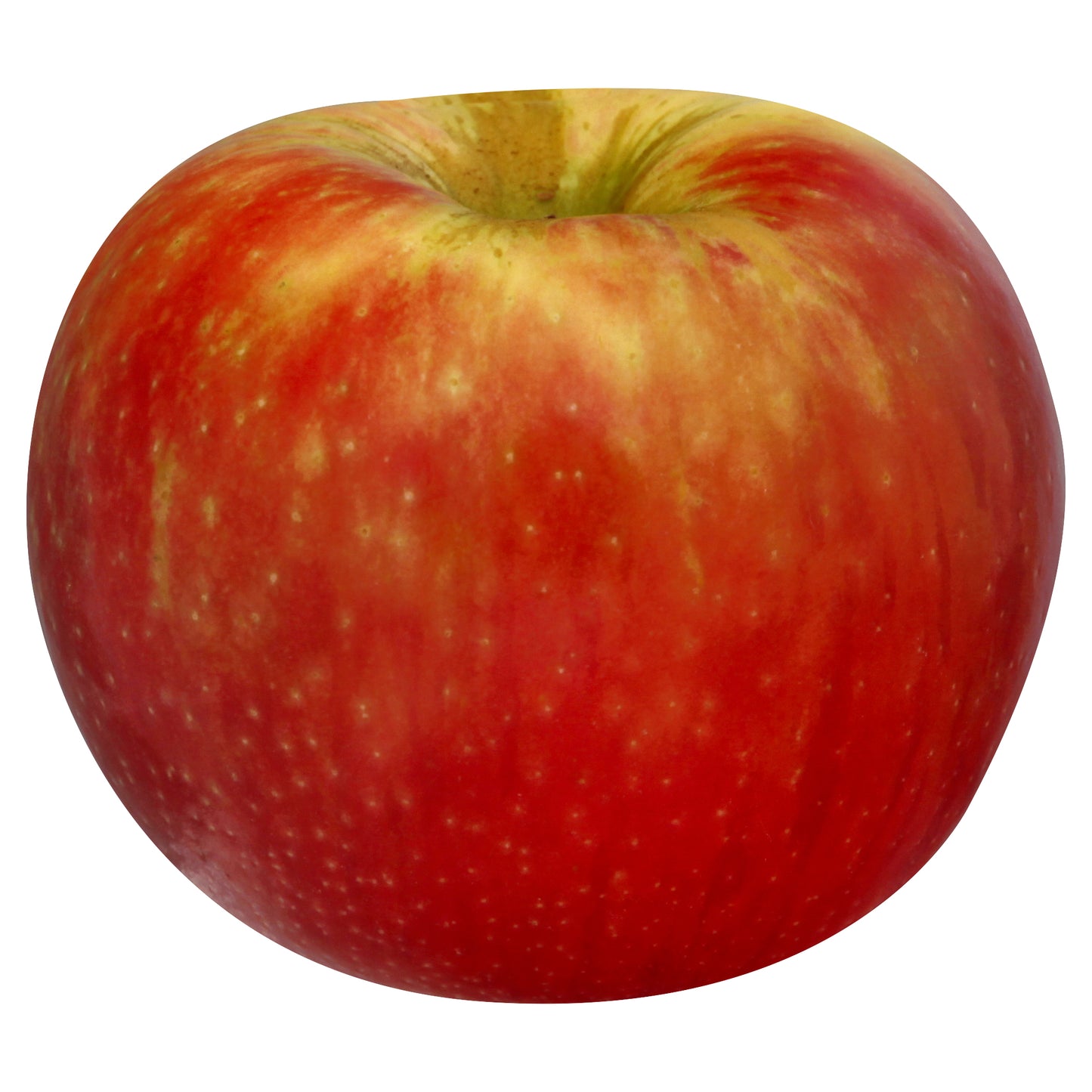Honey Crisp Apple - 2LB
