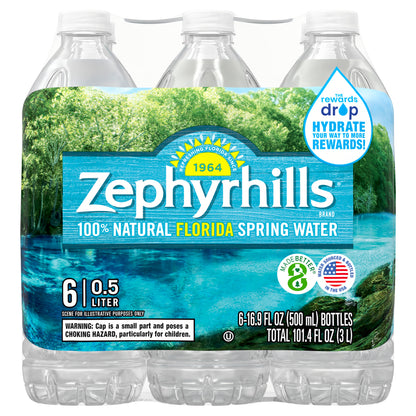 ZEPHYRHILLS Brand 100% Natural Spring Water, 16.9-ounce plastic bottles (6 Pack)