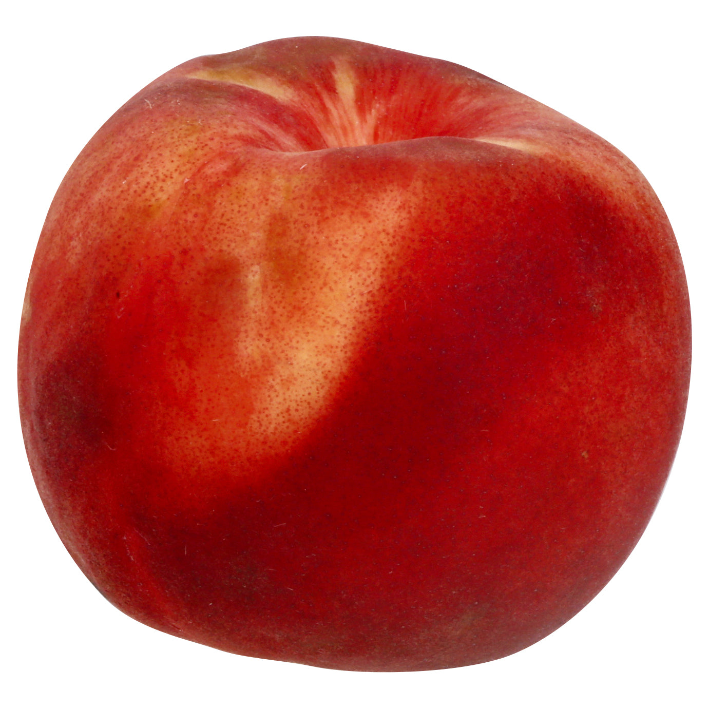 White Peach - Large