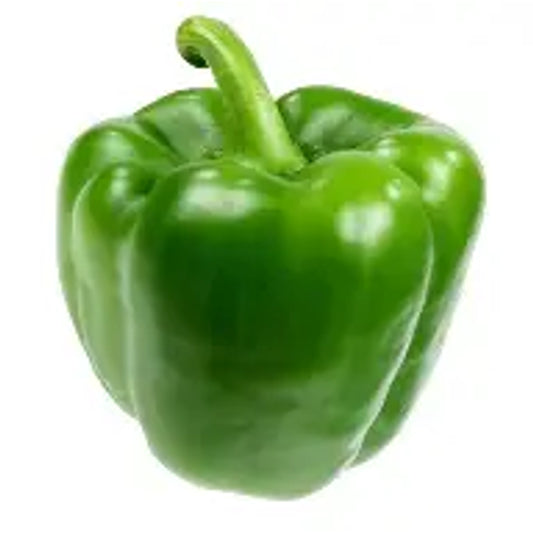 Green Bell Pepper