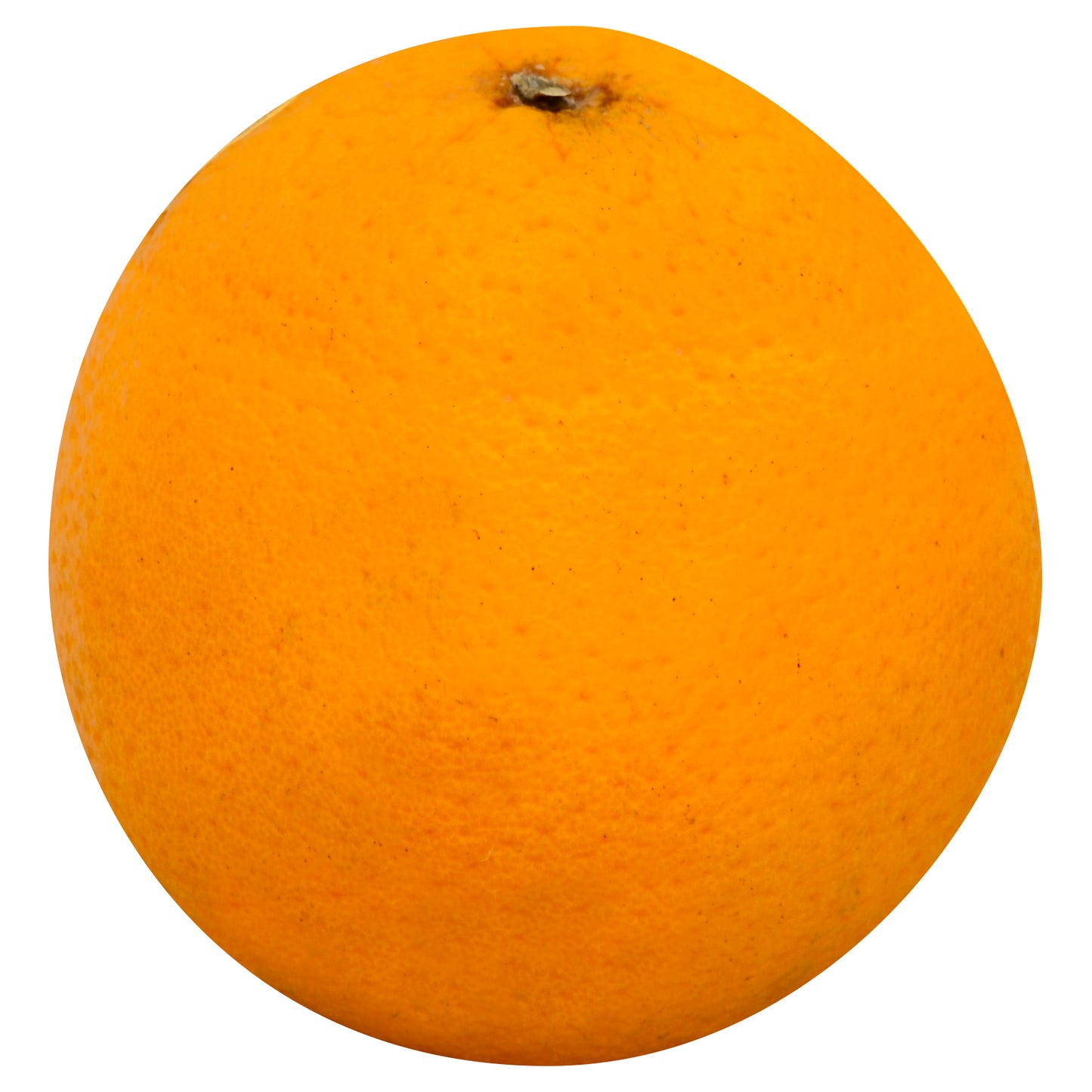Valencia Orange - Medium